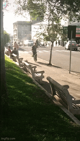 Acid GIFs, March 14 (25 gifs)