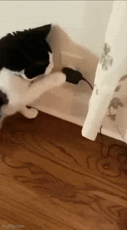 Acid GIFs, March 14 (25 gifs)