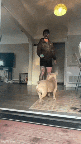 Acid GIFs, March 14 (25 gifs)