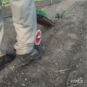 Acid GIFs, March 15 (25 gifs)