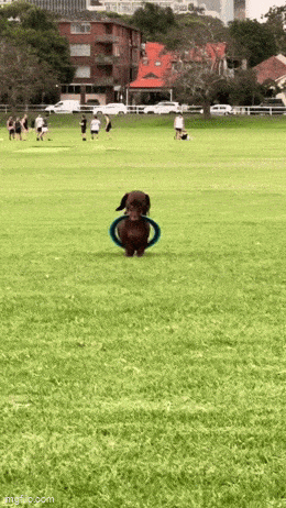 Acid GIFs, March 18 (25 gifs)