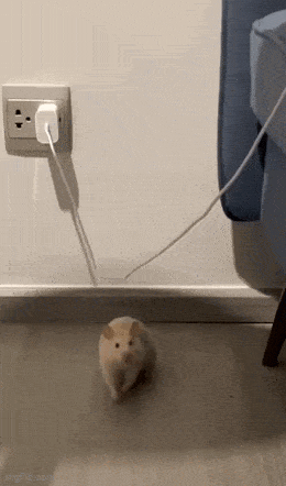 Acid GIFs, March 18 (25 gifs)