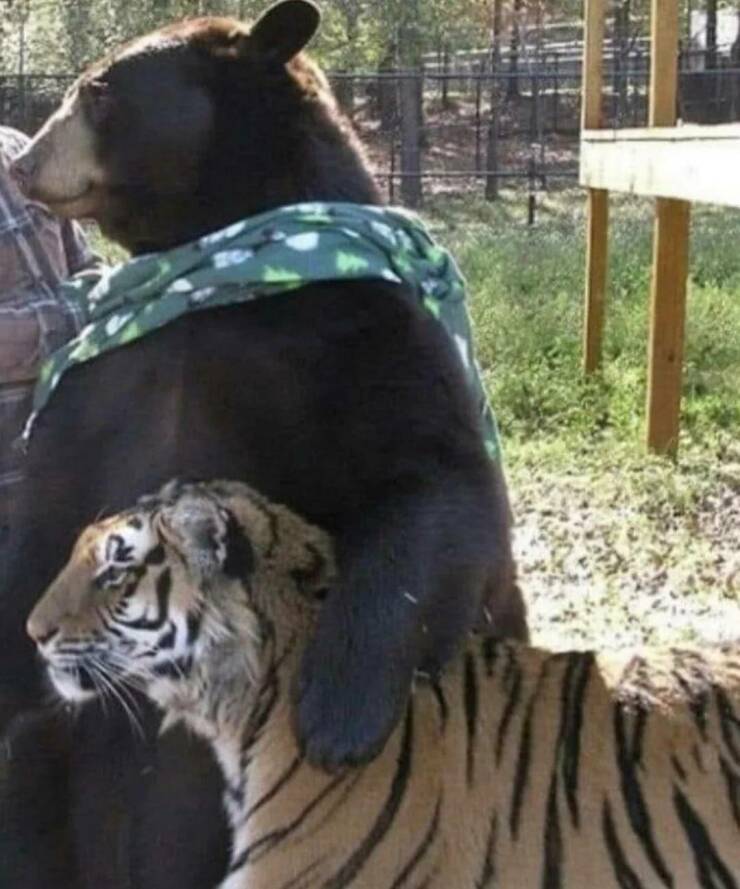 Daily Pictures. Part 2 (64 pics)