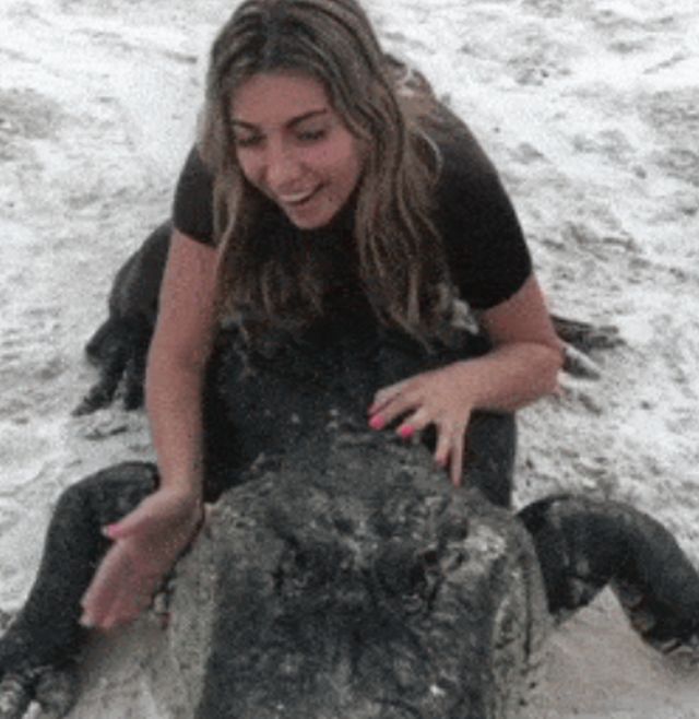 Acid GIFs, March 20 (25 gifs)