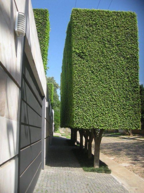 Photos For Perfectionists (15 pics)
