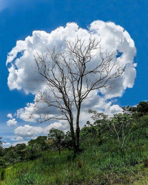 Photos For Perfectionists (15 pics)