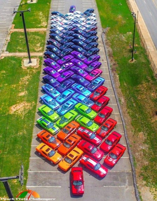 Photos For Perfectionists (15 pics)