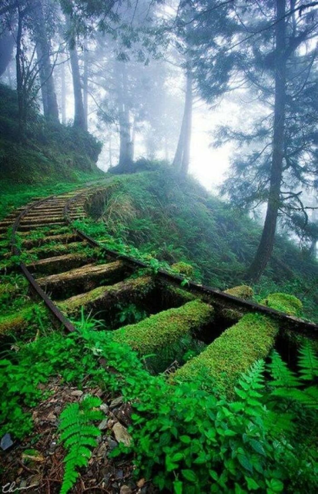Beautiful Abandoned Places (20 pics)