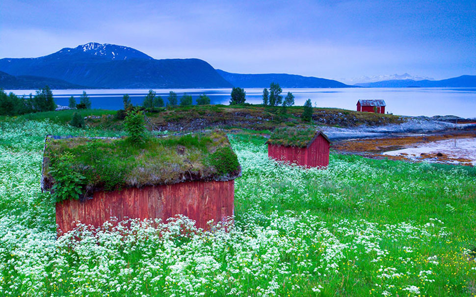 Atmospheric Scandinavian Houses (20 pics)