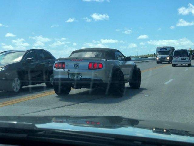 Crazy Cars (20 pics)