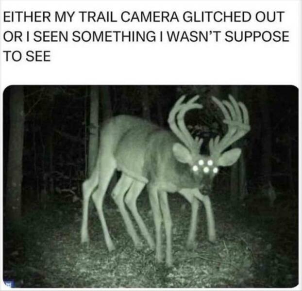 Daily Pictures. Part 2 (69 pics)