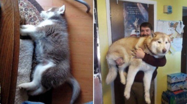 They Grow Very Fast (25 pics)