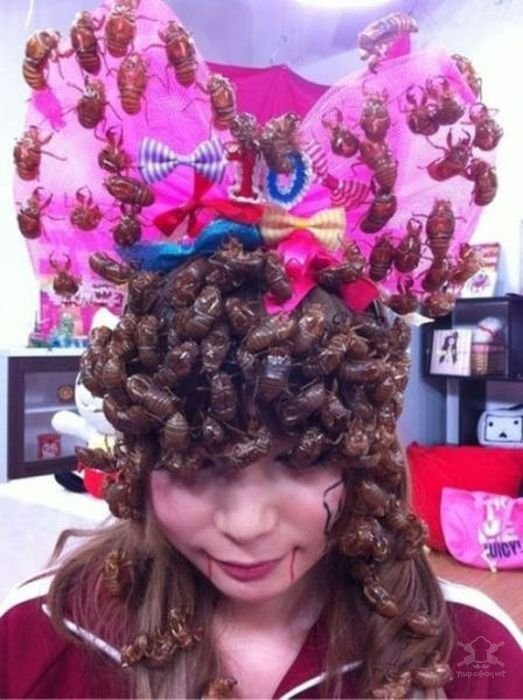 Strange Asians (19 pics)