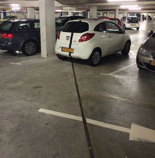 Photos For Perfectionists (20 pics)