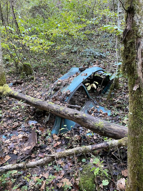 Weird Finds (20 pics)