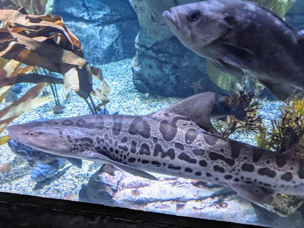 Weird Finds (20 pics)