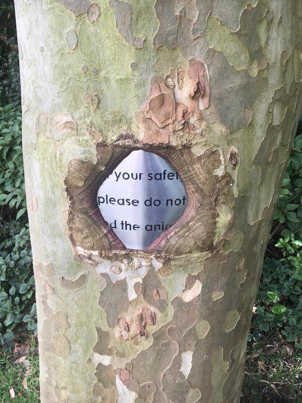 Weird Finds (20 pics)