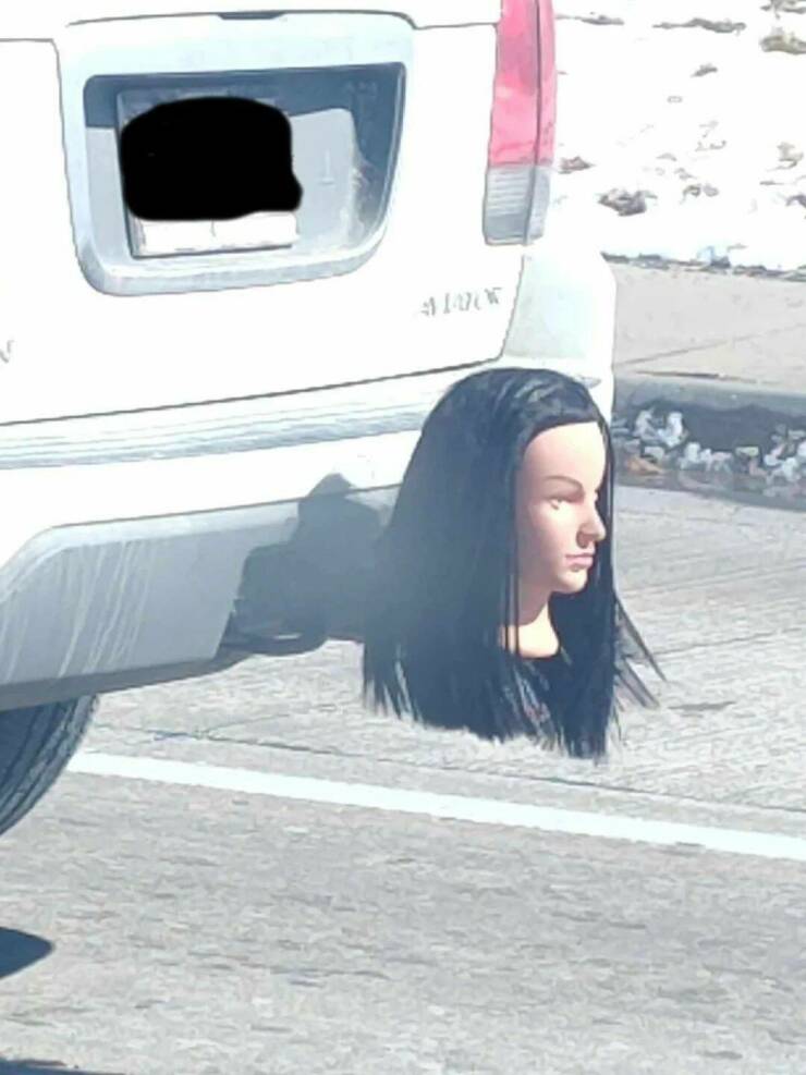 Daily Pictures. Part 2 (74 pics)