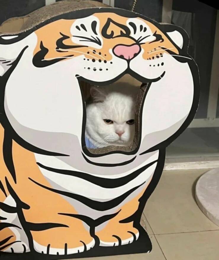 Daily Pictures. Part 2 (74 pics)