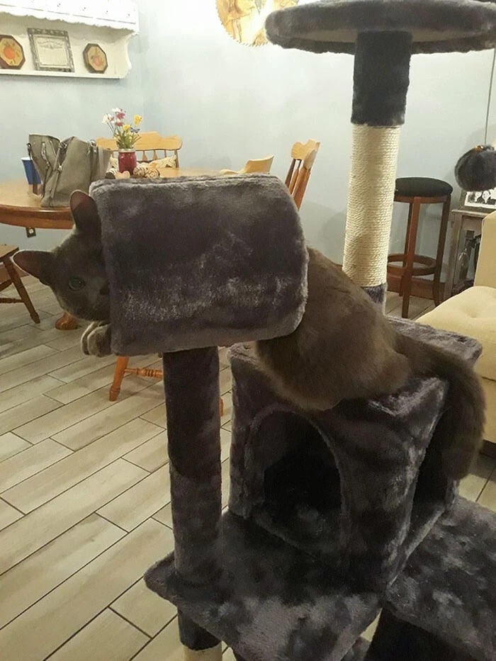 Unsuccessful Online Shopping (20 pics)