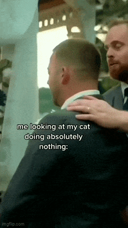 Acid GIFs, March 28 (25 gifs)