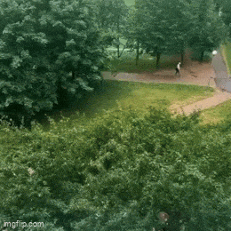 Acid GIFs, March 28 (25 gifs)