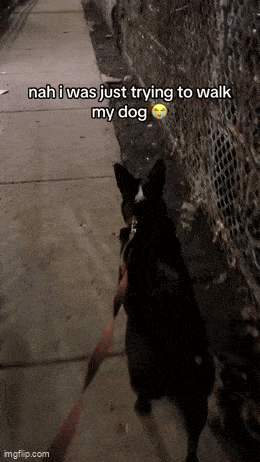 Acid GIFs, March 28 (25 gifs)