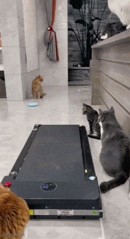 Acid GIFs, March 28 (25 gifs)