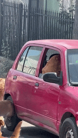 Acid GIFs, March 28 (25 gifs)