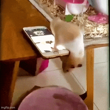Acid GIFs, March 28 (25 gifs)