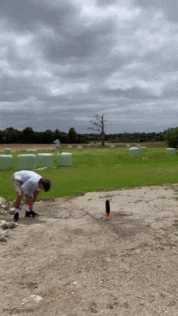 Acid GIFs, March 28 (25 gifs)