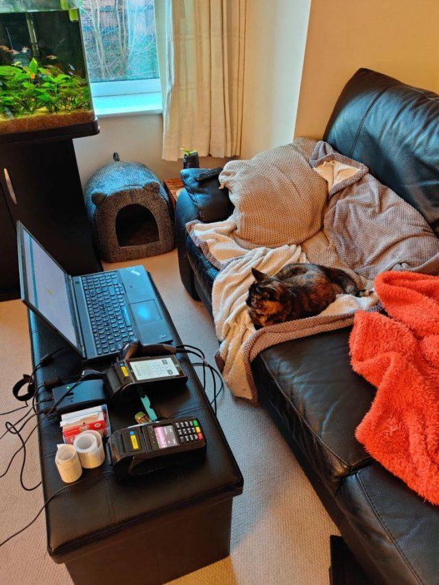 The Truth About Remote Work (17 pics)