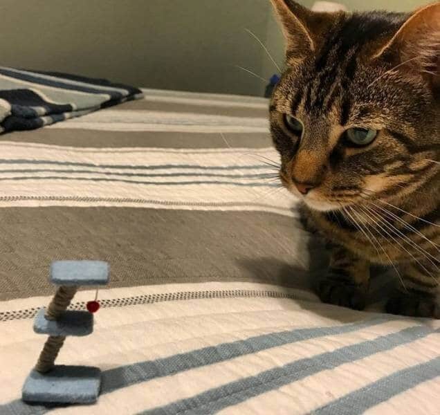 Expectations Against Reality (20 pics)