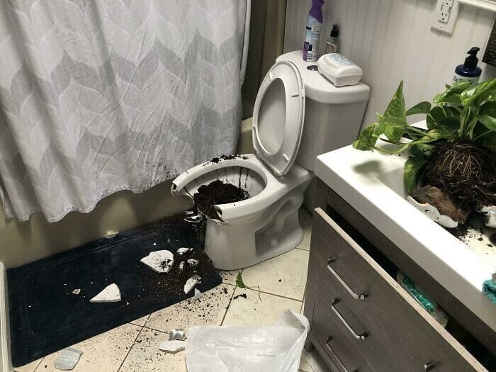 Household Disasters (20 pics)