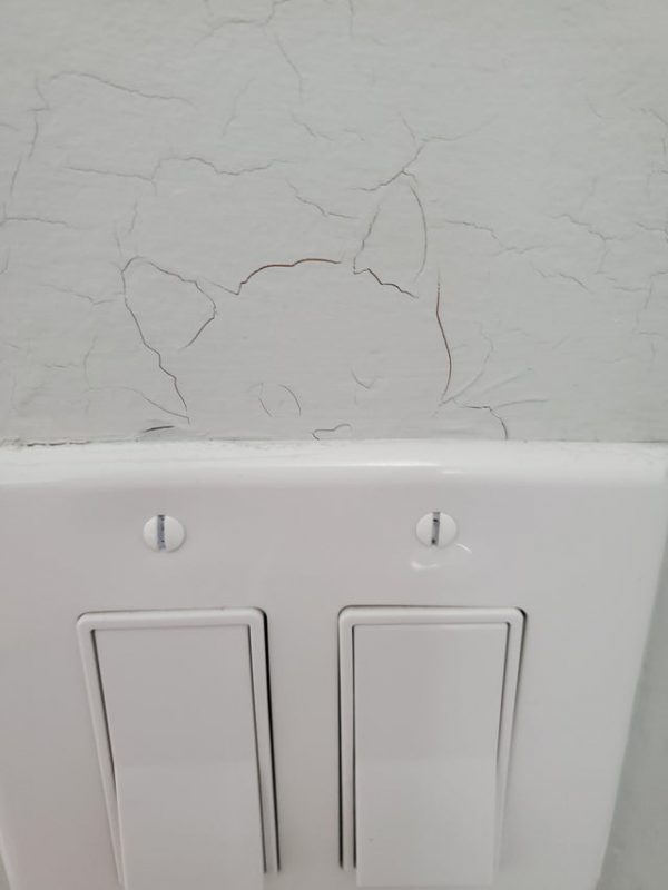 This Is Pareidolia (20 pics)