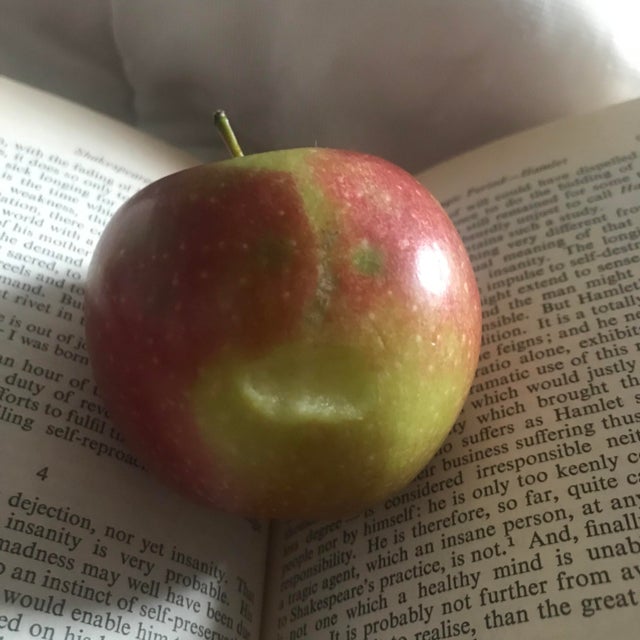 This Is Pareidolia (20 pics)