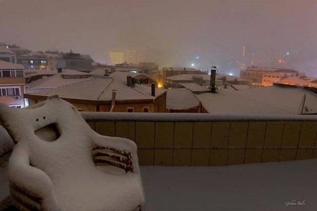 This Is Pareidolia (20 pics)