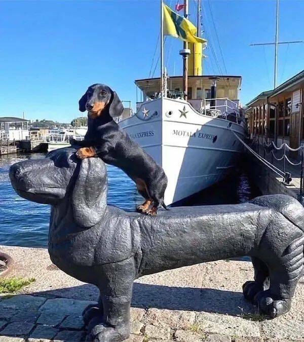 Daily Pictures. Part 1 (66 pics)