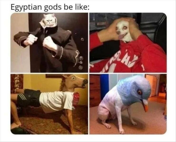 Daily Pictures. Part 2 (65 pics)