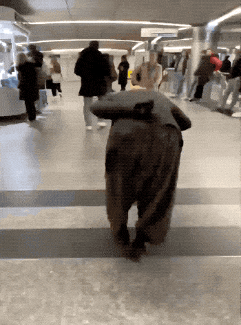Acid GIFs, April 2 (25 gifs)