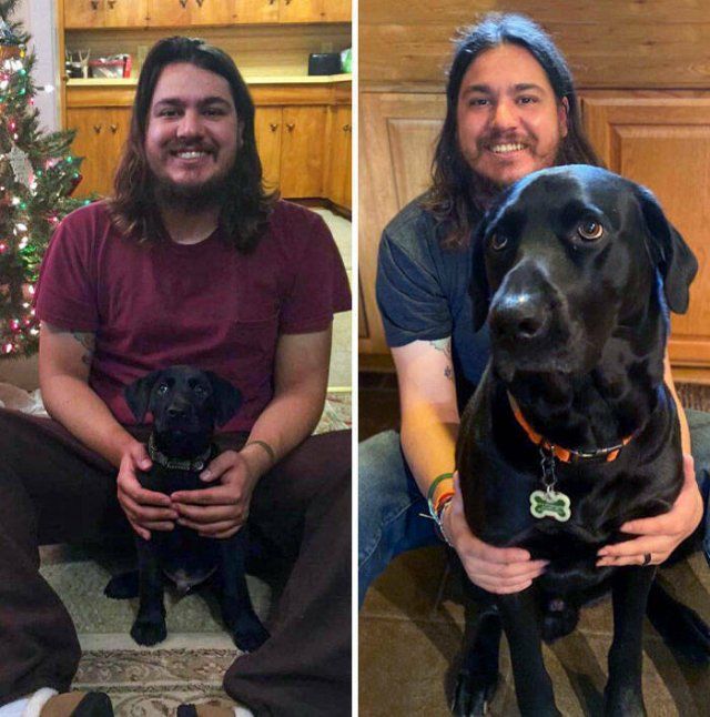 They Grow Very Fast (25 pics)