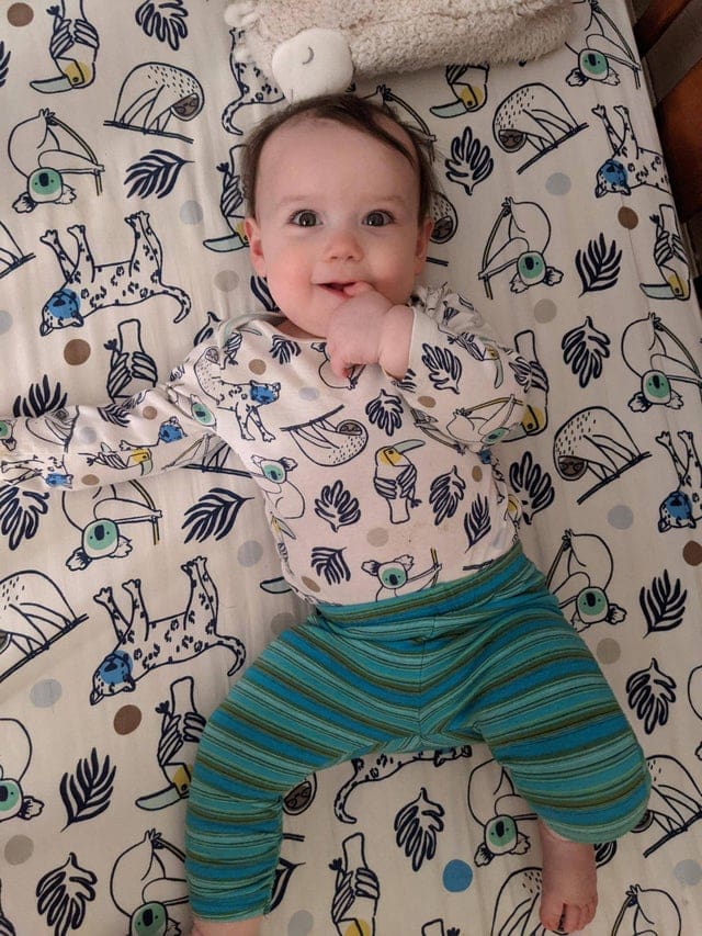 Perfect Camouflage (20 pics)
