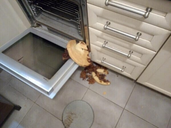 Bad Days Happen (17 pics)