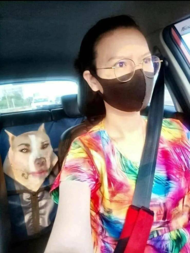 Daily Pictures. Part 1 (70 pics)