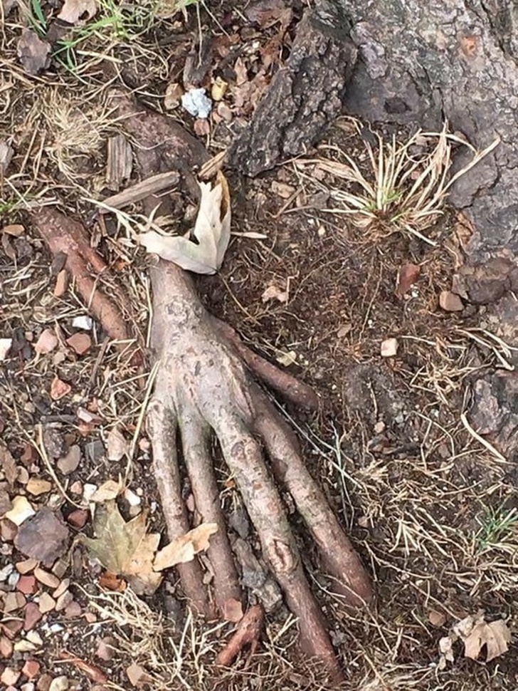 Creepy Photos (20 pics)