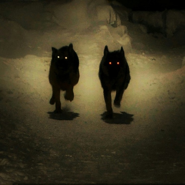 Creepy Photos (20 pics)