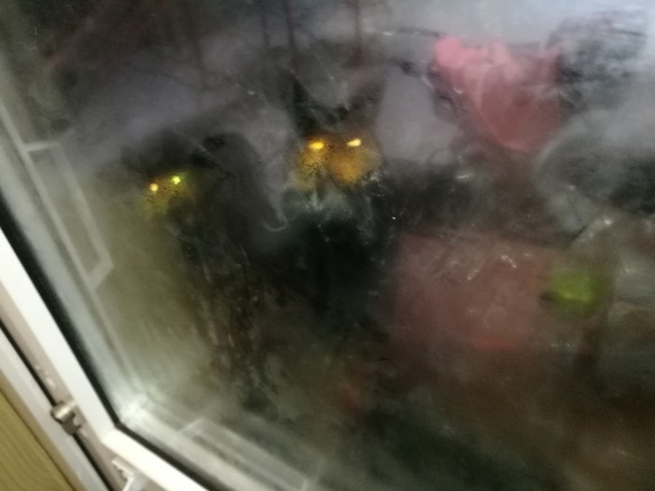 Creepy Photos (20 pics)