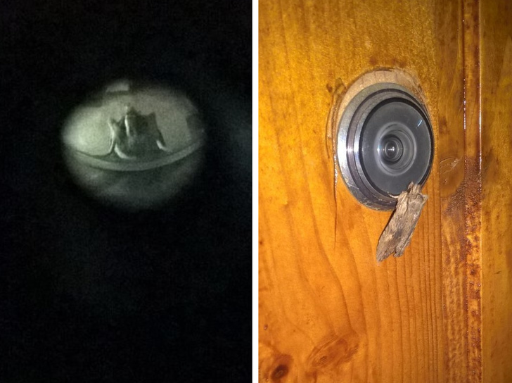 Creepy Photos (20 pics)