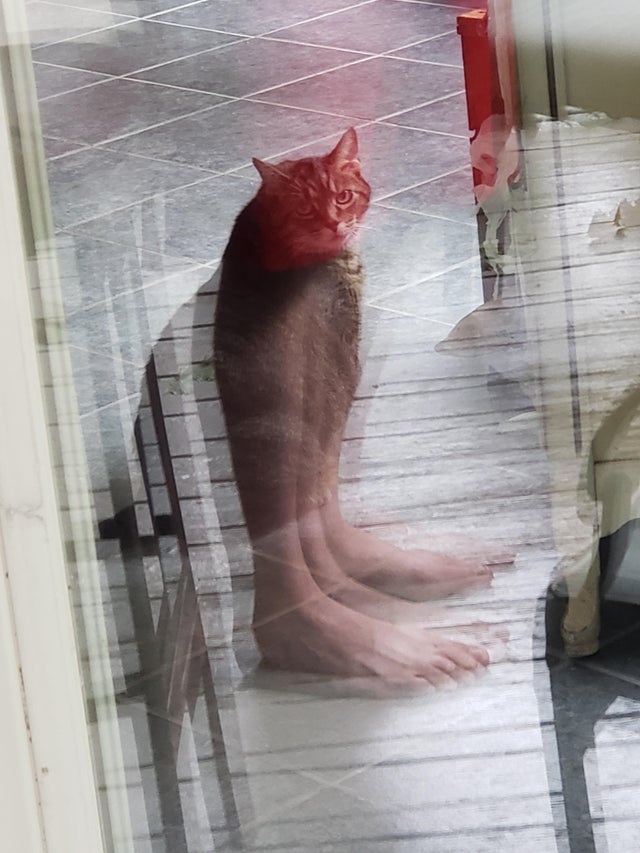 Optical Illusions (20 pics)