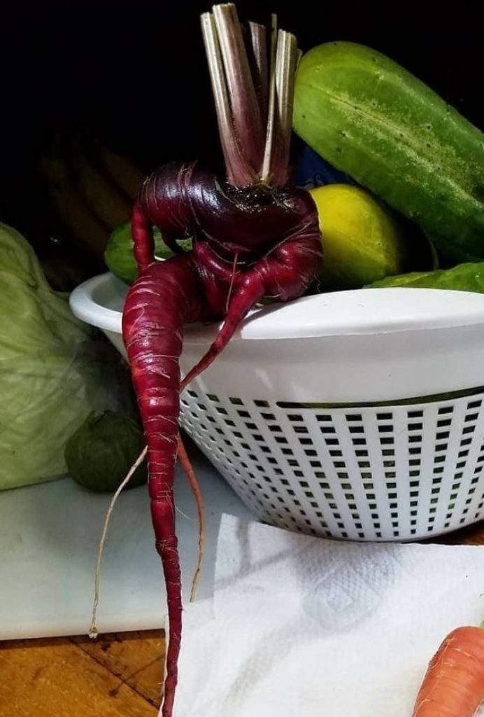 Optical Illusions (20 pics)